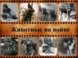 Выставка "Животные на войне" Выставка "Животные на войне".