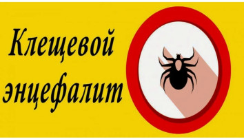 О Всероссийской горячей линии по профилактике клещевого энцефалита и инфекций, передающихся клещами О Всероссийской горячей линии по профилактике клещевого энцефалита и инфекций, передающихся клещами.