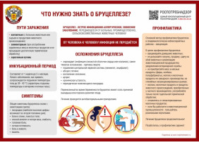 Профилактика бруцеллеза Профилактика бруцеллеза.