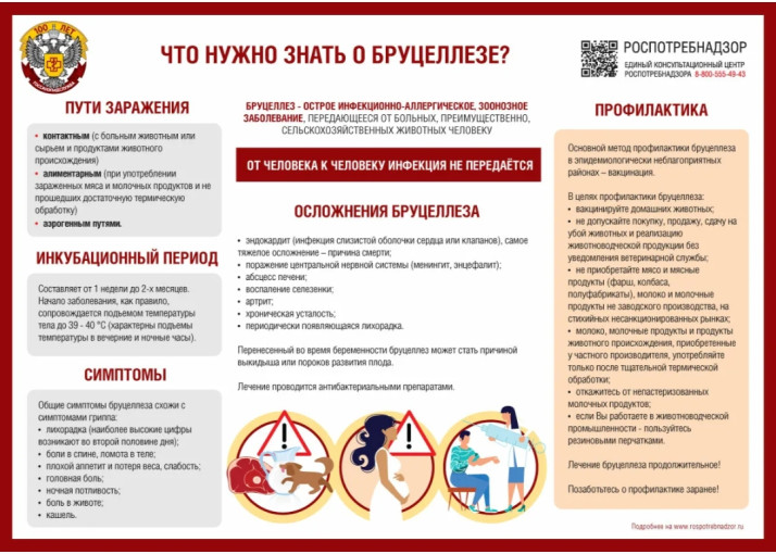 Профилактика бруцеллеза Профилактика бруцеллеза.